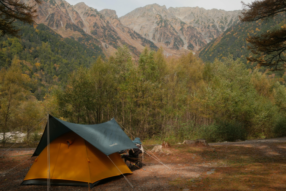 Professional-looking purple brand packaging by RubeeFlex for a small business