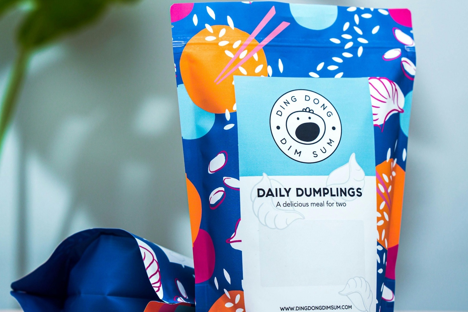 RubeeFlex Packaging demonstrates gravure printing vs digital printing